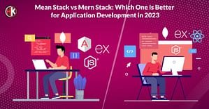 Two developers working on different components of mean stack and mern stack for creating smooth application