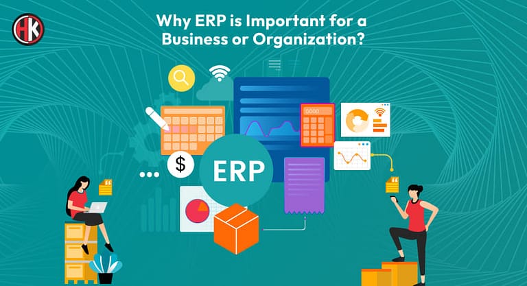 Why ERP is Important for any Business or Organization?